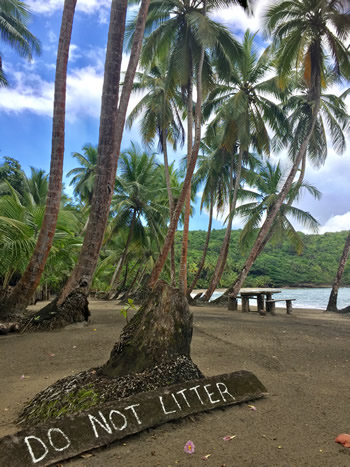 Why Dominica