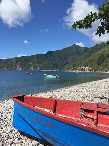 Why Dominica